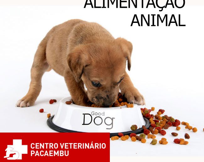 Alimentação para cães e gatos