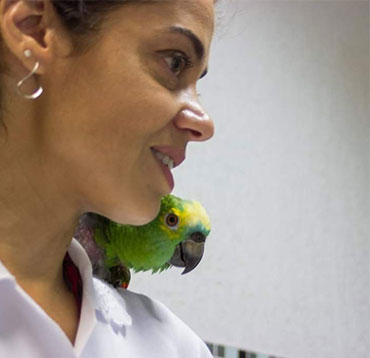 veterinária especialista em comportamento animal | Centro Veterinário Pacaembu