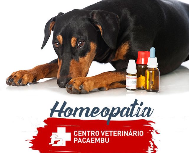 Homeopatia Veterinária no Centro Veterinário Pacaembu