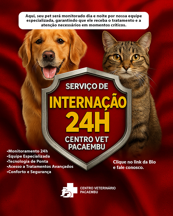 Internação 24H